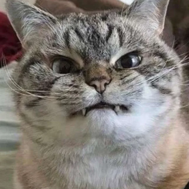 겜돌이