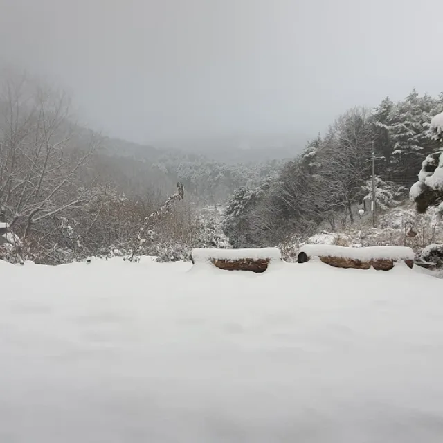 지혀니