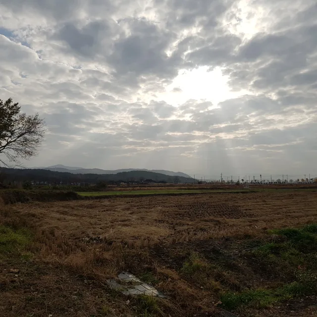 찬란한여명