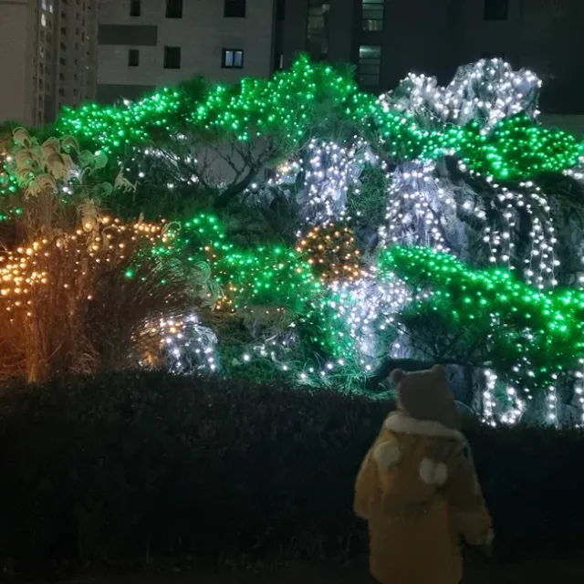 당근이지