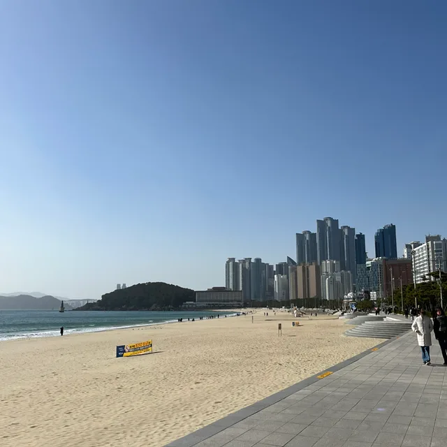 내취미는당근마켓