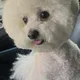 팡이오빠