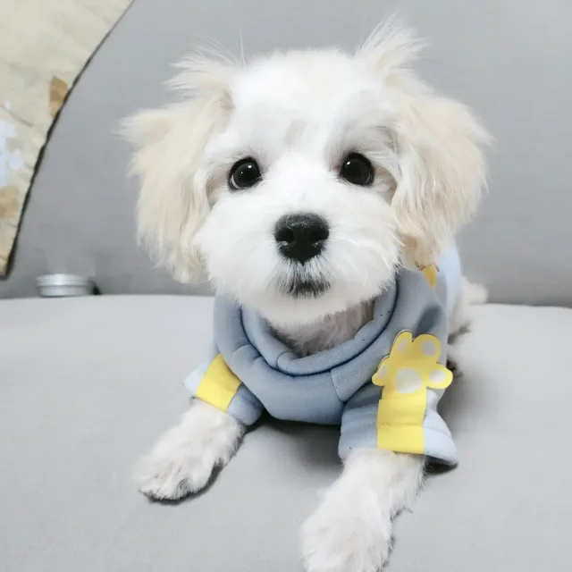 마루맘
