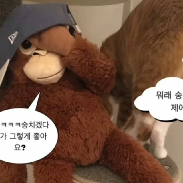 숭숭이