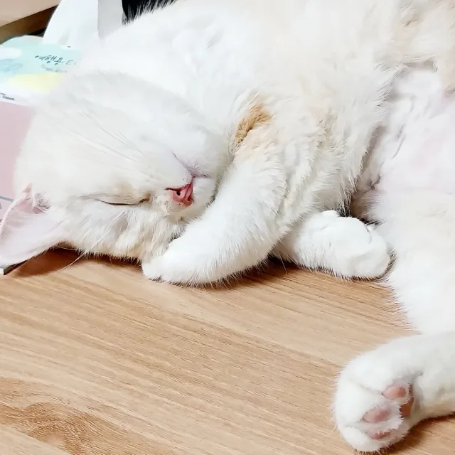 계속