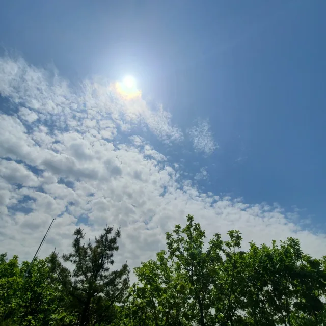 하늘