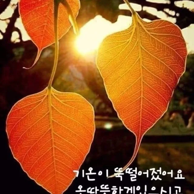 뷰리풀데이