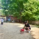 골D로져