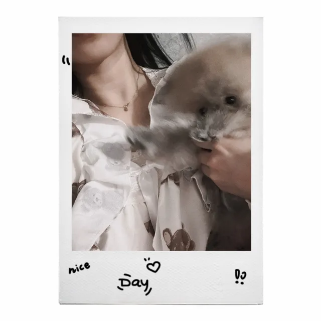 Vinn빈