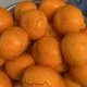 앞자랖