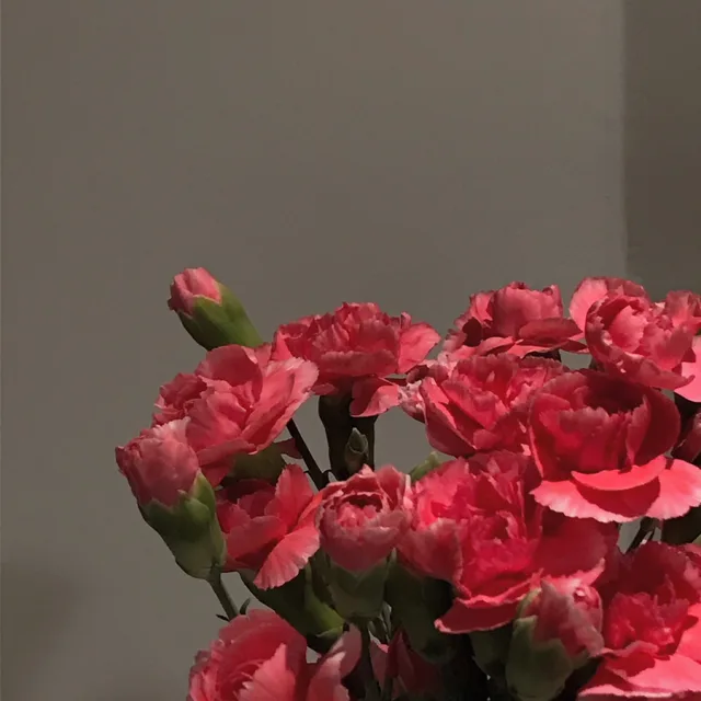 광슈니