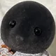 여보쌉싸리용
