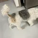 쪼쪼