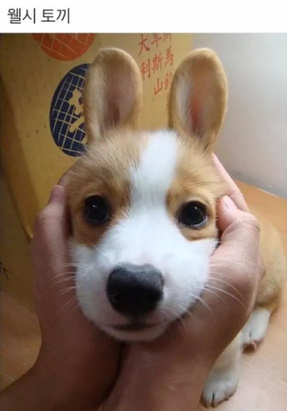 인생