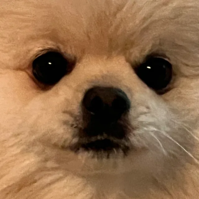 김프로