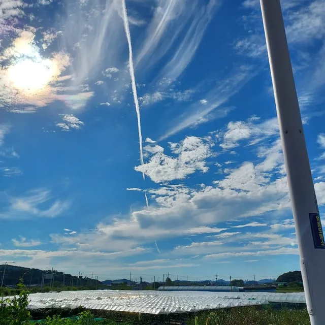 물고기밥