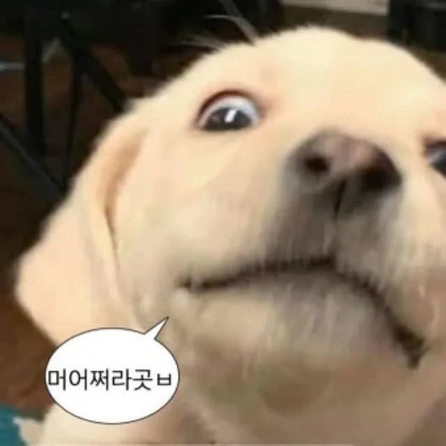 우짤티비