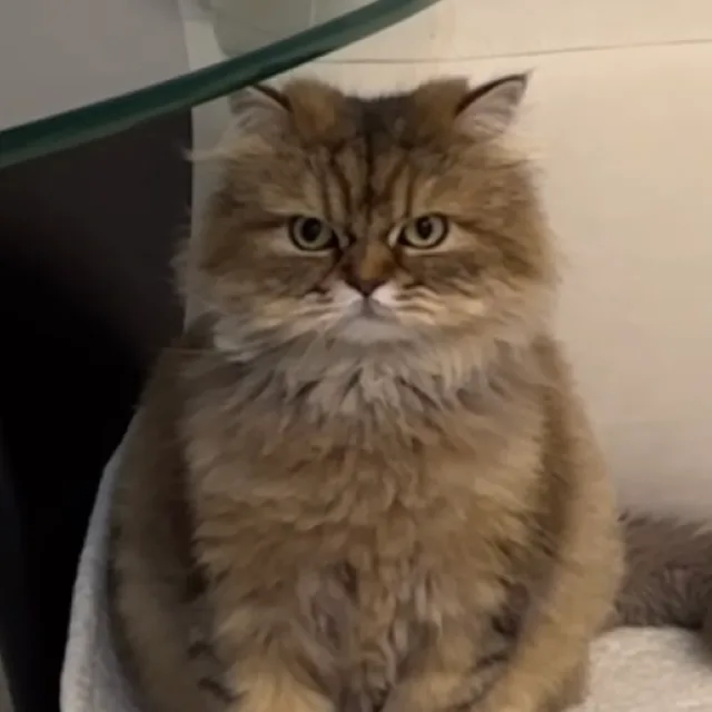 부릉