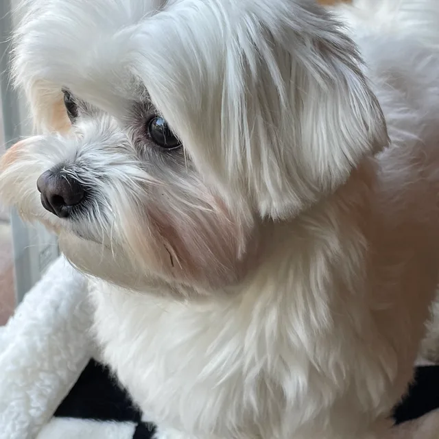 profile