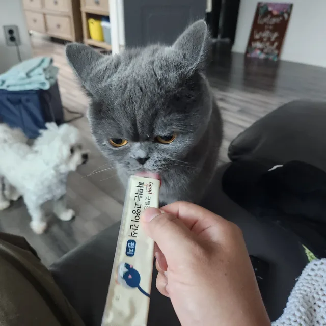덕구