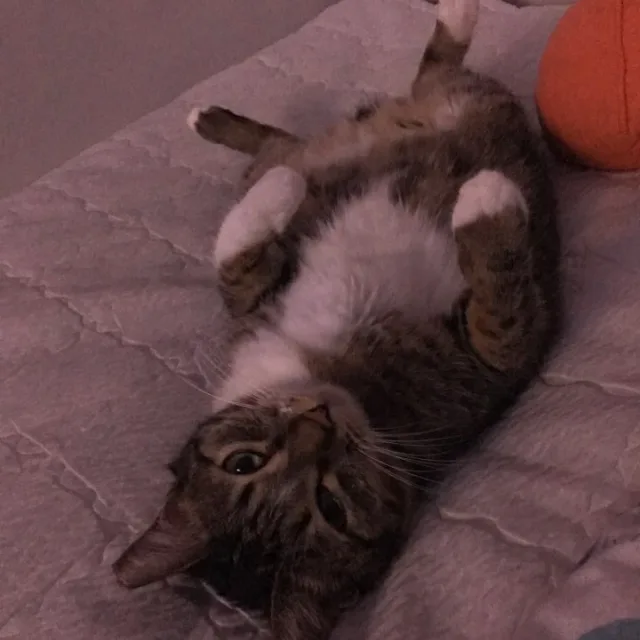 거품샤워