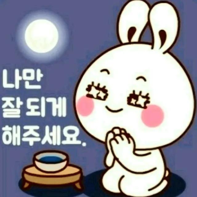 첫눈처럼
