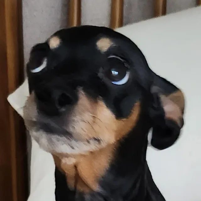 윤응헌