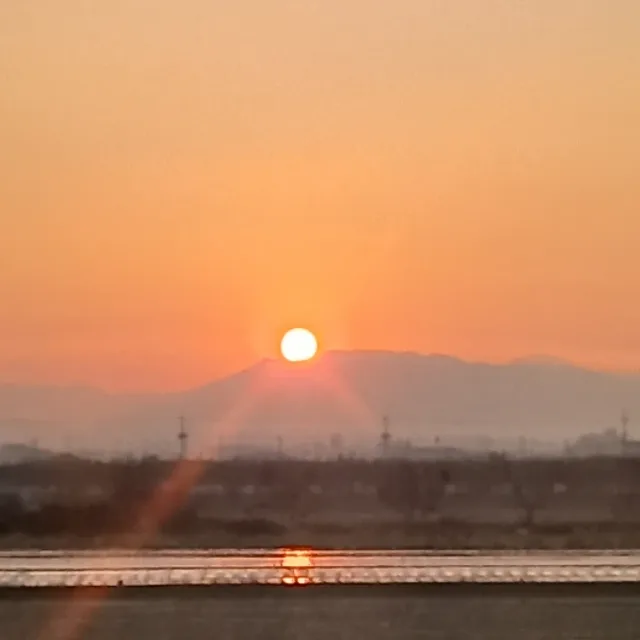 아리랑