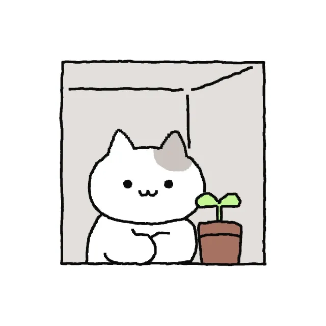 찔러보기x당근페이ok