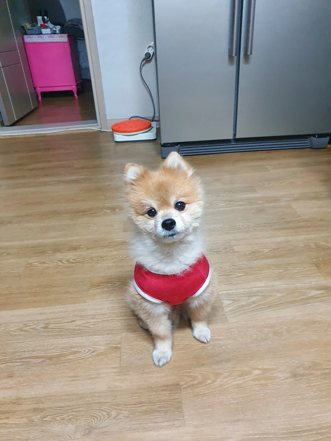 연가