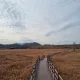흰짱구