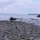 소바