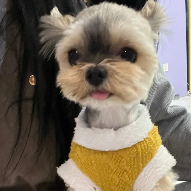 루루아미
