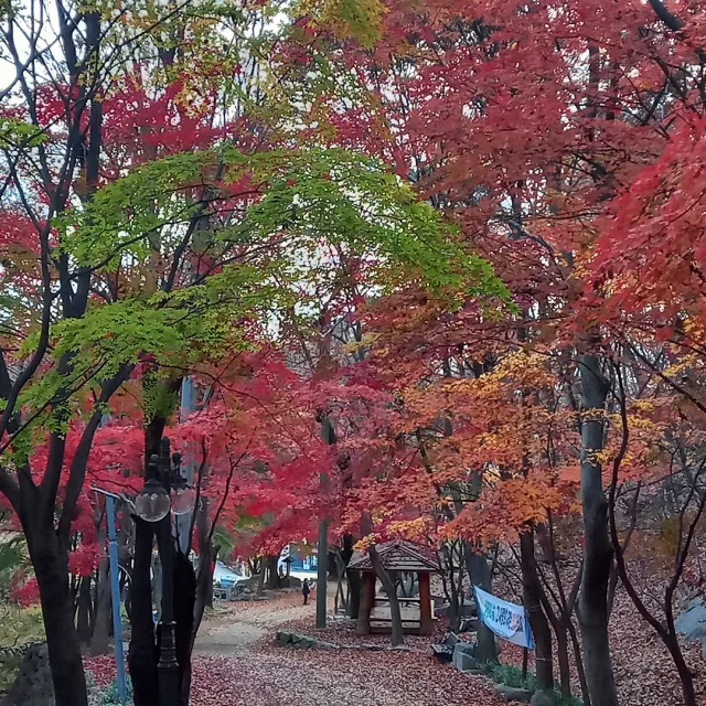 쌤지