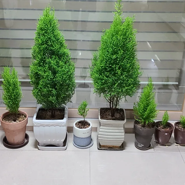 인생2막