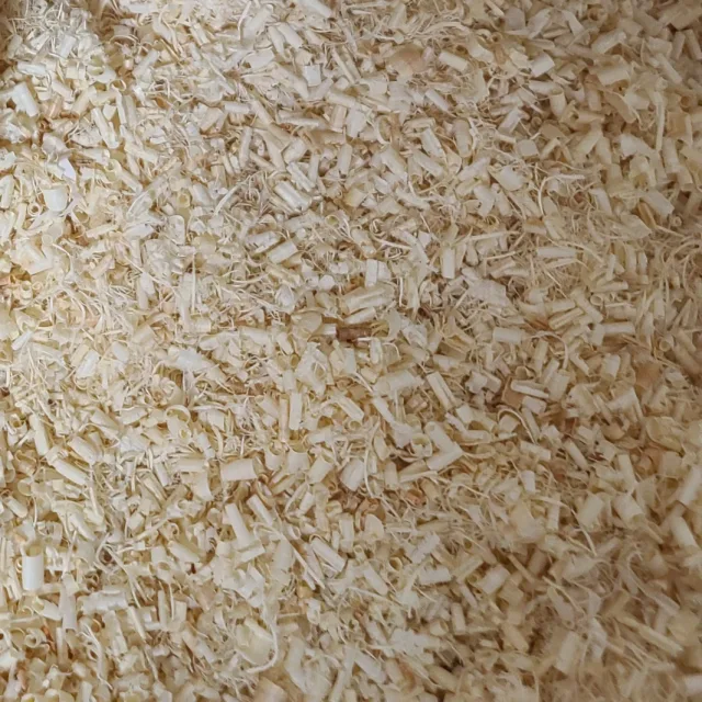 라일락