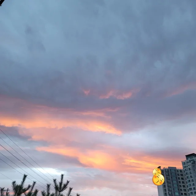 바람소리