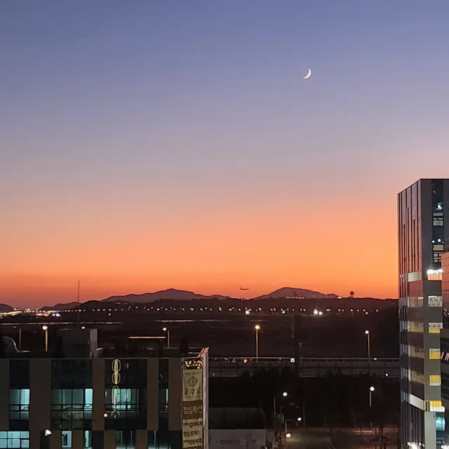 덩치
