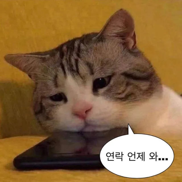 찔러보세요네고해줄지도