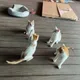 쪼드