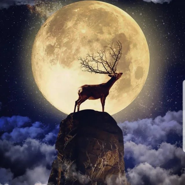 잘사고잘파세요