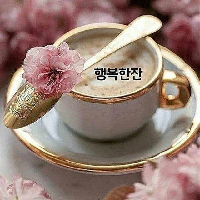 신밧드모형