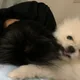 두유형