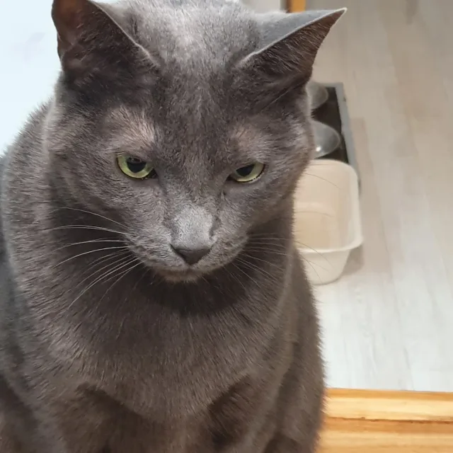 메로