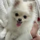 윰댕