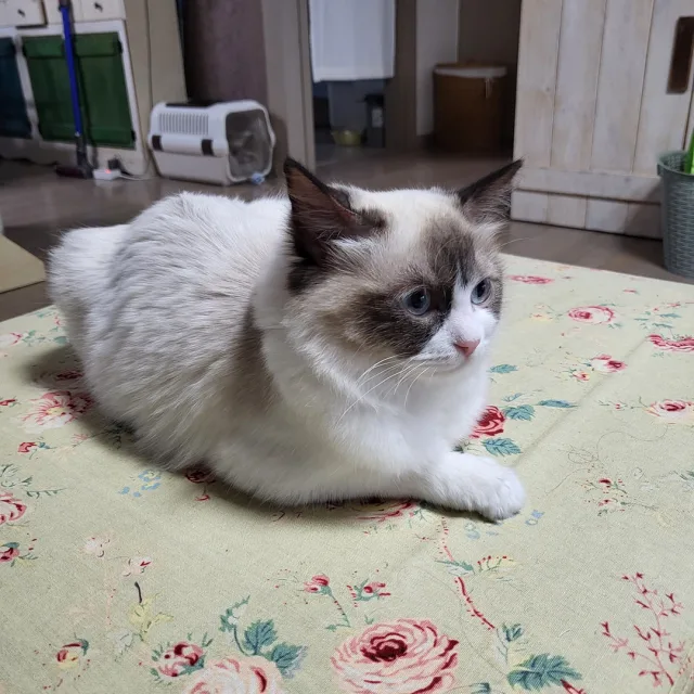 보물상자