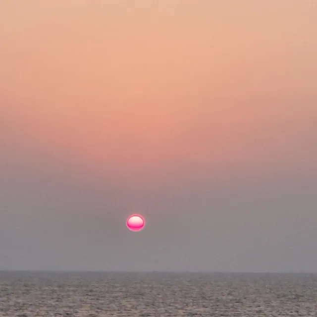 탁구초보