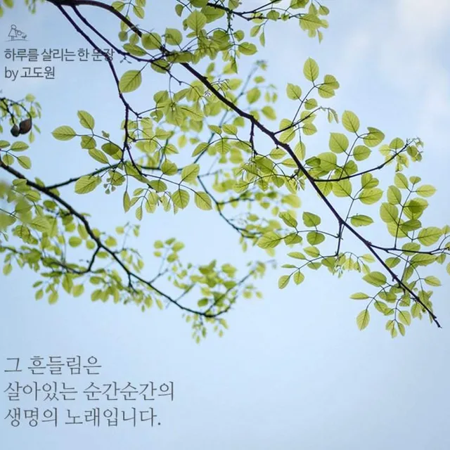 당근좋지