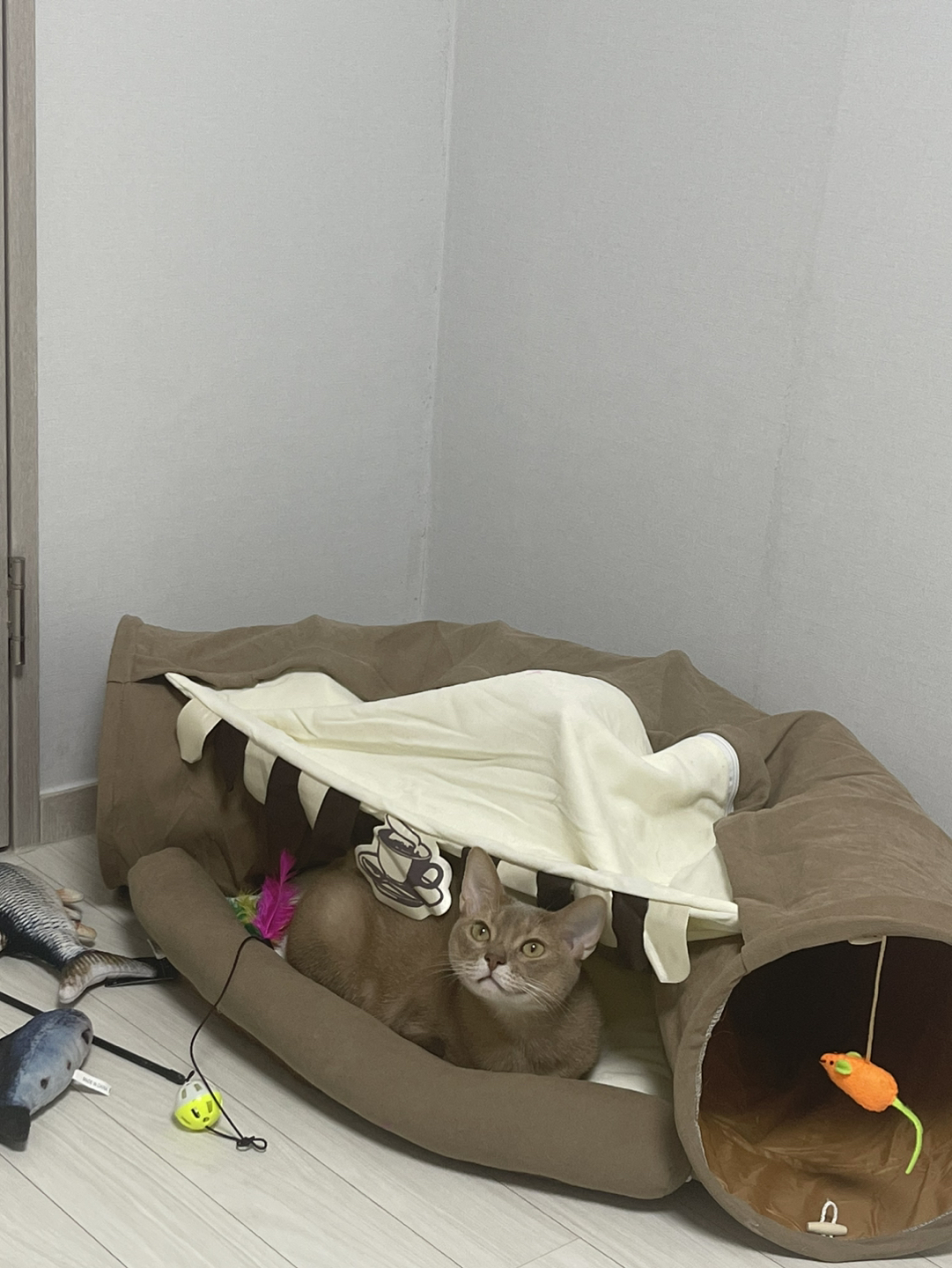 필요물품