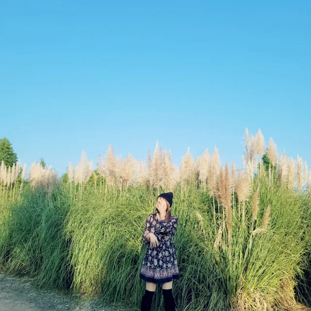 파워짱아라레